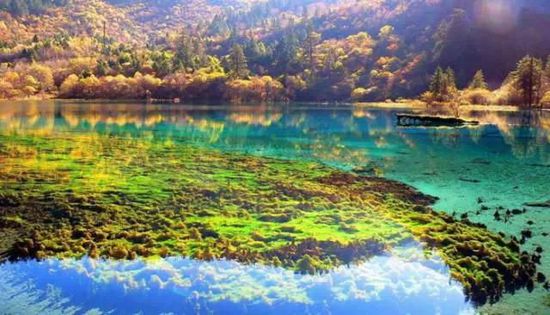 門(mén)票那么貴 沒(méi)法玩耍了！