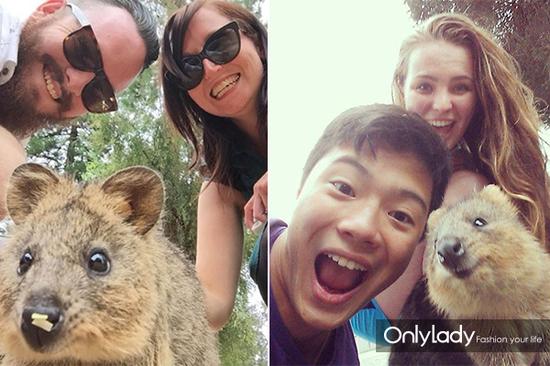 可愛(ài)的“袋鼠”