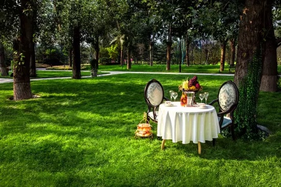 秋陽鴻園，芳草青青