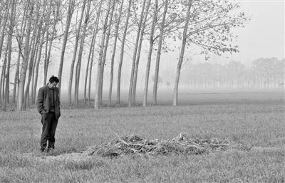 11月21日，高松中站在腦癱雙胞胎兒子墳前。