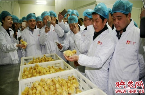 百名滬商看信陽活動(dòng)圓滿成功 百名滬商看信陽活動(dòng)圓滿成功