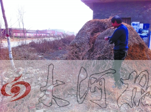 張哥、張弟就是在這兒撿到的投毒面包。