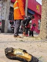 老漢右腿燒傷，樹下扔了一只燒焦的鞋