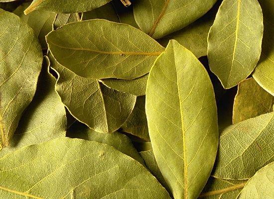 你知道廚房里常見調(diào)料的用法嗎？