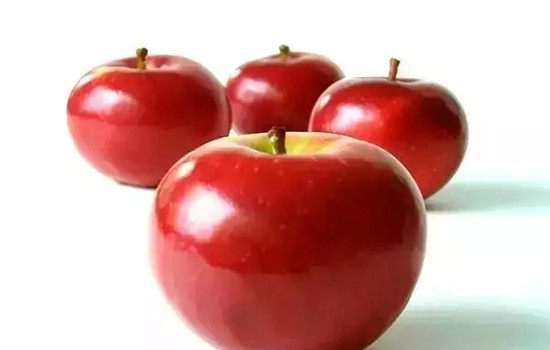 小心有毒！各種蔬果不能吃的部分