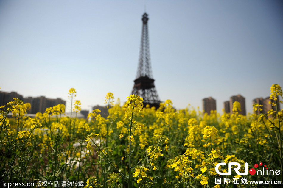 　2014年3月21日，杭州天都城，農(nóng)民在山寨埃菲爾鐵塔下耕作。圖片來源：東方IC