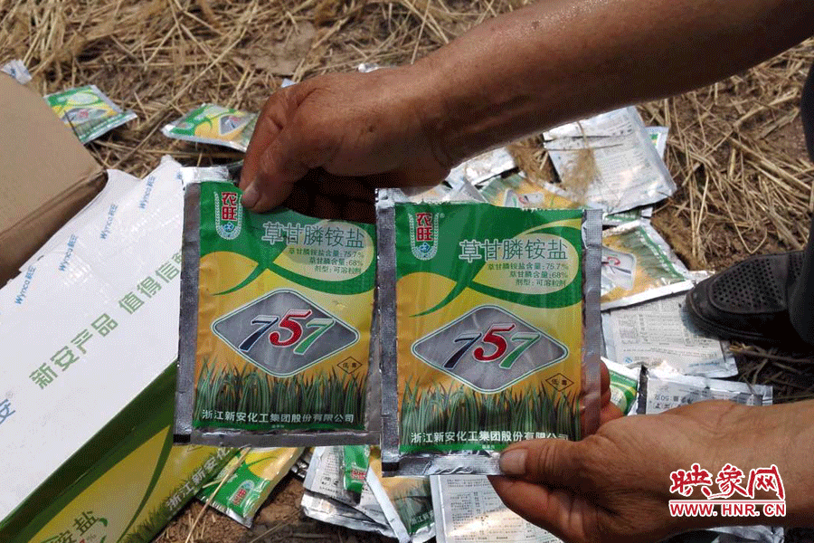 毀掉玉米的農(nóng)藥袋散落在地頭。