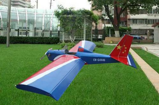 自制的小飛機(jī) 自制的小飛機(jī)