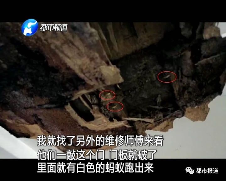 蟻?zhàn)宕筌娙肭?！十幾萬裝修的新家被“吃掉”