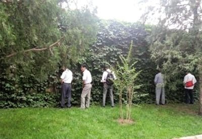 6月30日，頤和園內(nèi)綠地上，多名游客在小解。 網(wǎng)友“攝影老鬼” 攝