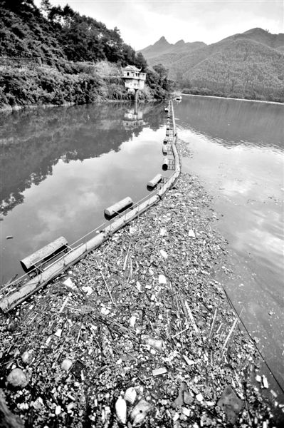 7月7日，廣西賀州市賀江合面獅段被污染的水域。據(jù)新華社