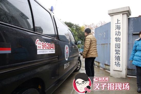 殯葬車到達(dá)現(xiàn)場(chǎng)。新民網(wǎng) 記者 蕭君瑋 攝