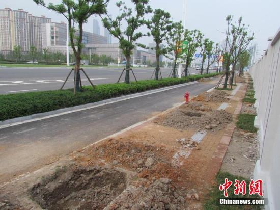 南京回應(yīng)青奧前突擊栽苗木死亡:成活率符合要求 南京回應(yīng)青奧前突擊栽苗木死亡:成活率符合要求