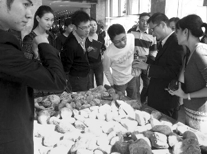 前段時間，夫子廟古玩城舉行的一場賭石活動，吸引了不少人參與