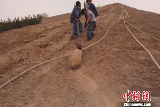 　4月27日上午，當(dāng)?shù)卮迕裨诠系販洗逡痪G化處挖出一枚長(zhǎng)1米，重200斤的炸彈，5月10日，這枚炸彈已