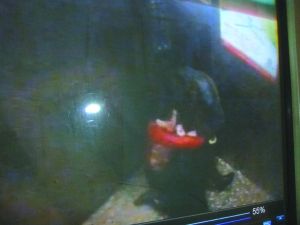 男子將侯某撲倒，侯某反抗。