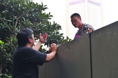 黃主任站在獨(dú)木樁上與男子交談了近半小時(shí)。