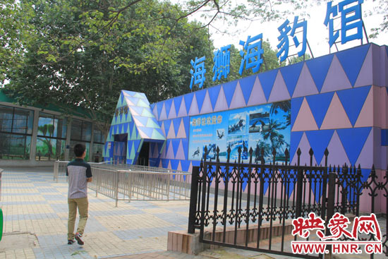 因?yàn)槭侵芤唬嵵菔袆?dòng)物園海洋館的游客并不多。