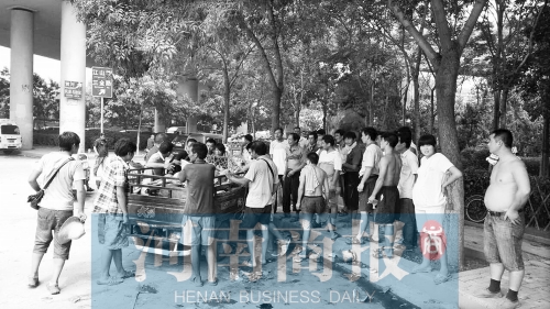 北環(huán)南陽(yáng)路立交橋下，瓜農(nóng)小秦被打后，附近瓜農(nóng)紛紛圍了上來(lái)