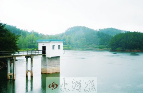 河南新縣一村疑現(xiàn)狼群獵食狗 專家稱或是金錢(qián)豹