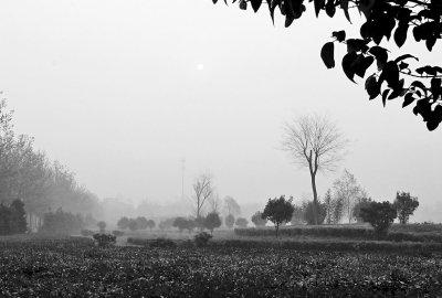 3月26日上午8點,鄭大新校區(qū),濃濃的霧霾埋沒了大好春景。