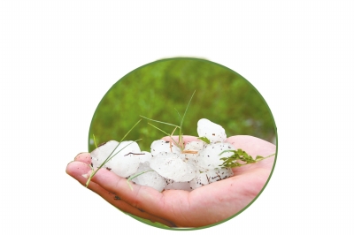 冰雹化了一些,還有這么大。