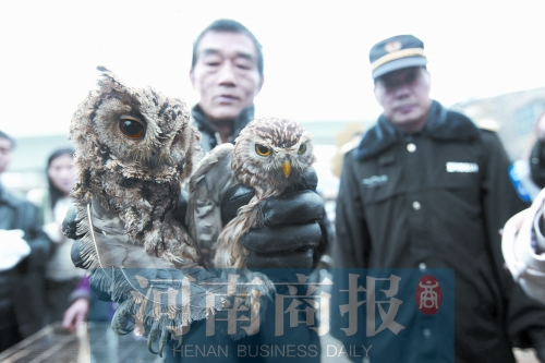 鄭州女子販鷹被查 舉報(bào)鄰居是“販鷹大戶”遭對(duì)方回?fù)? alt=