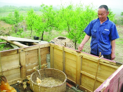弟弟趙文富向記者介紹他們養(yǎng)雞的地方。
