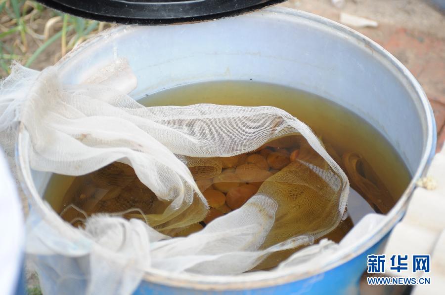 地下水成“綠茶”　污染二十多年該誰治？