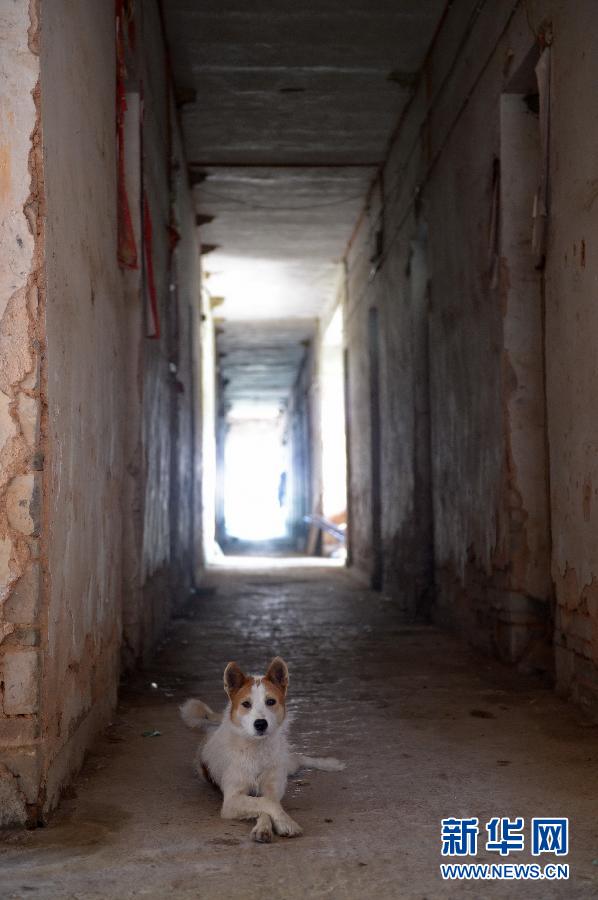 農(nóng)場棚戶區(qū)的最后留守家庭：留下的是回憶，迎來的是幸福