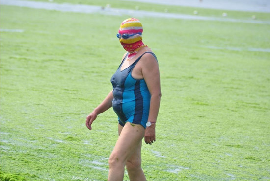 2013年7月3日，山東青島青島高溫來(lái)襲，“青島大媽”不懼滸苔，戴著“強(qiáng)盜面具”出現(xiàn)在海水浴場(chǎng)消暑降