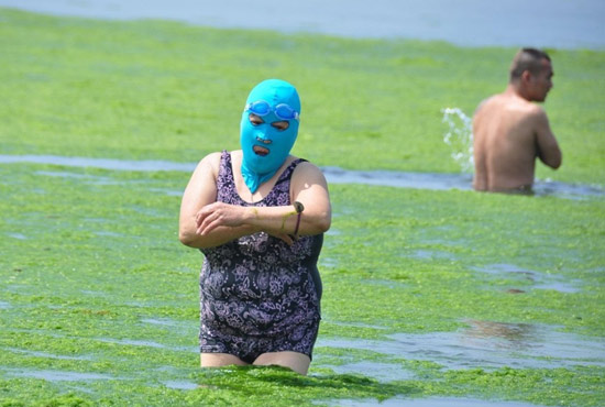 2013年7月3日，山東青島青島高溫來(lái)襲，“青島大媽”不懼滸苔，戴著“強(qiáng)盜面具”出現(xiàn)在海水浴場(chǎng)消暑降