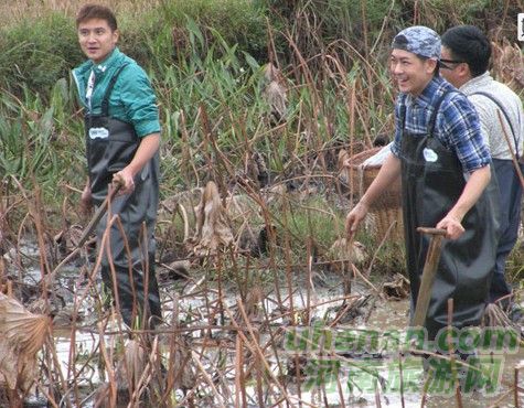 爸爸去哪兒？親密接觸荷花仙子