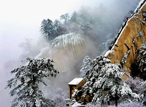 冬意華山 賞雪大推薦 冬意華山 賞雪大推薦