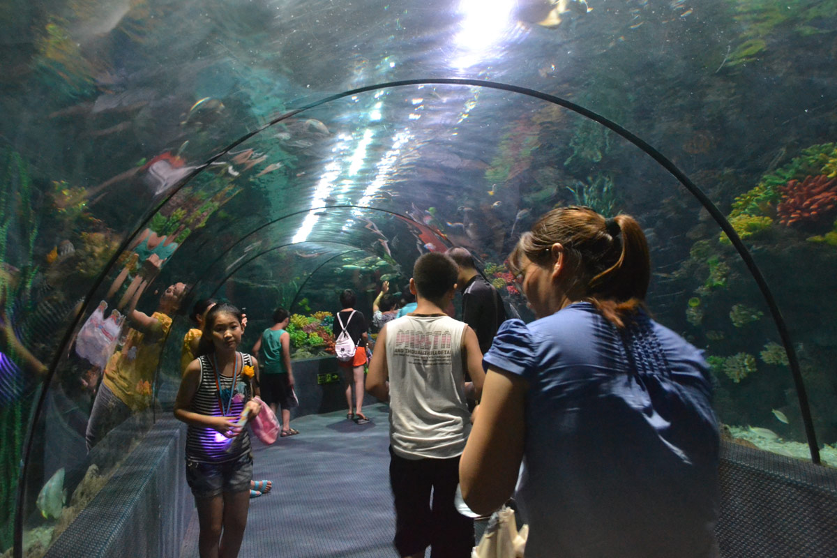 春節(jié)去哪兒？出游地圖告訴您！