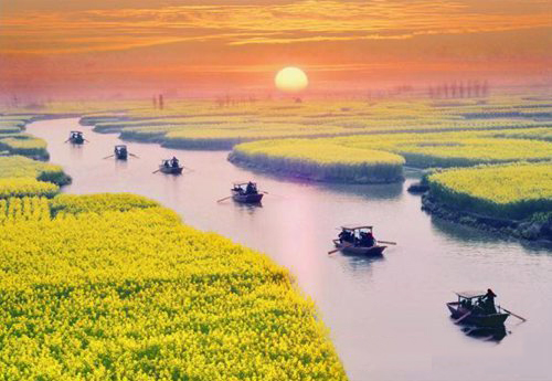 如何拍攝油菜花？達人教你7個拍攝技巧