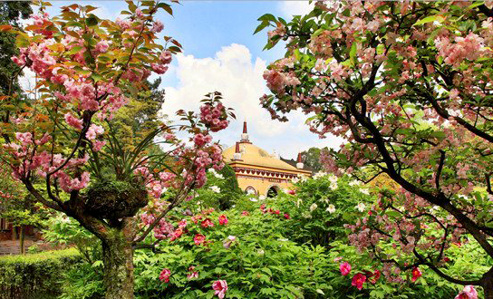 麻辣冬日二三五，芳菲三月看峨眉