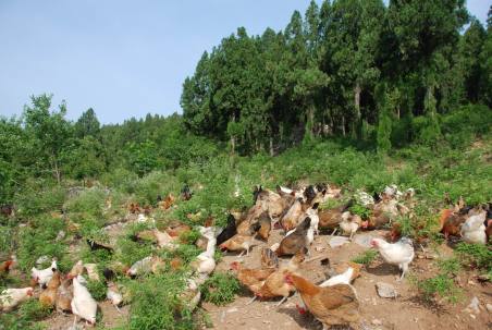 旅游真奇妙 這些事你知道嗎？