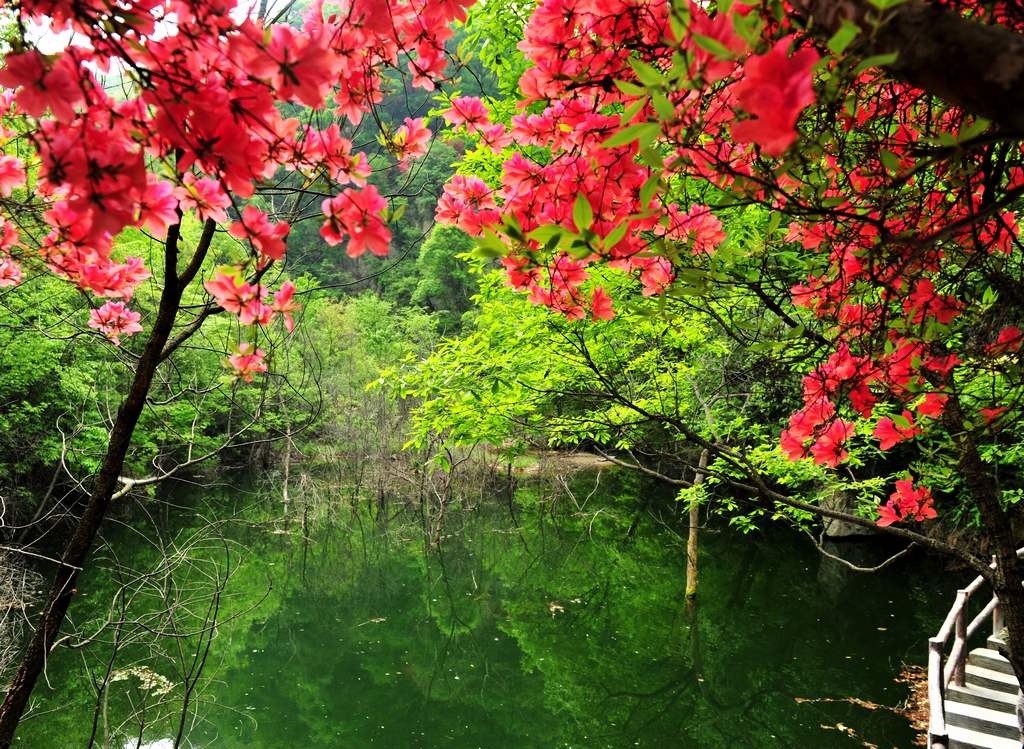 母親節(jié)河南景區(qū)優(yōu)惠大波來襲！