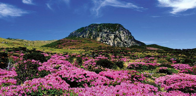 “海途號(hào)”韓國(guó)江原道包機(jī)醉美之旅七月三日首航 “海途號(hào)”韓國(guó)江原道包機(jī)醉美之旅七月三日首航