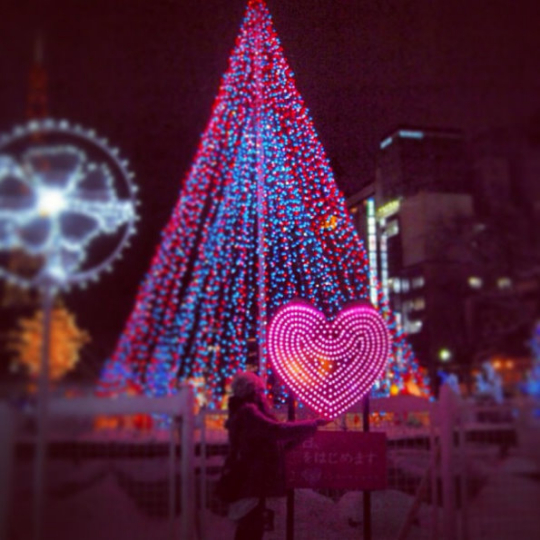 白色燈樹(shù)節(jié) 白色燈樹(shù)節(jié)