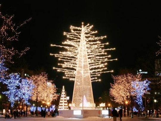 白色燈樹(shù)節(jié) 白色燈樹(shù)節(jié)