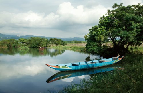 關渡賞鳥趣樂繽紛 關渡賞鳥趣樂繽紛
