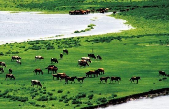 　　處處翠色欲流,馬兒自然入畫?！? complete=