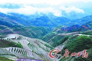 　　龍勝梯田大氣而立體。