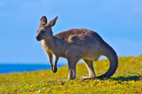 全家出國游去哪里？推薦十佳旅游勝地