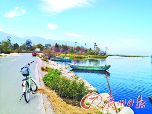 洱海的藍(lán)讓人沉醉。