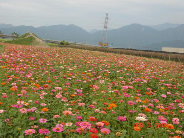 缺少愛(ài)情的城市:廣州 缺少愛(ài)情的城市:廣州