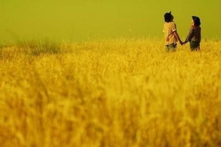 缺少愛(ài)情的城市:上海 缺少愛(ài)情的城市:上海