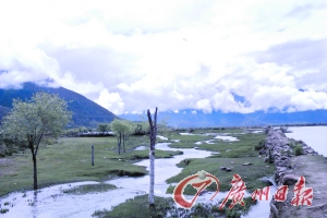 小路的一側(cè)是小溪,另一側(cè)是河流。